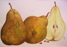 golden pears